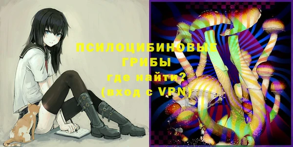 первитин Няндома