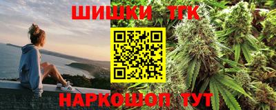 крисы Абакан