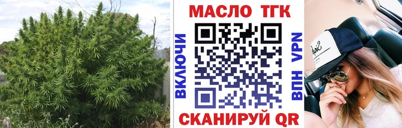 мега онион  Нефтекумск  ТГК гашишное масло  купить наркотик 