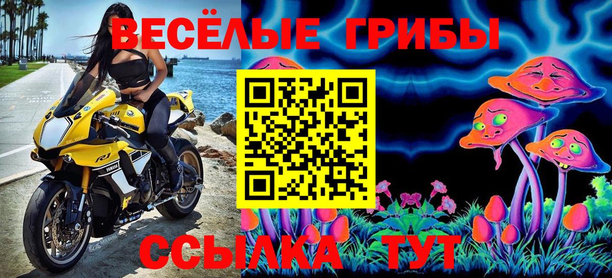 Галлюциногенные грибы мухоморы Нефтекумск