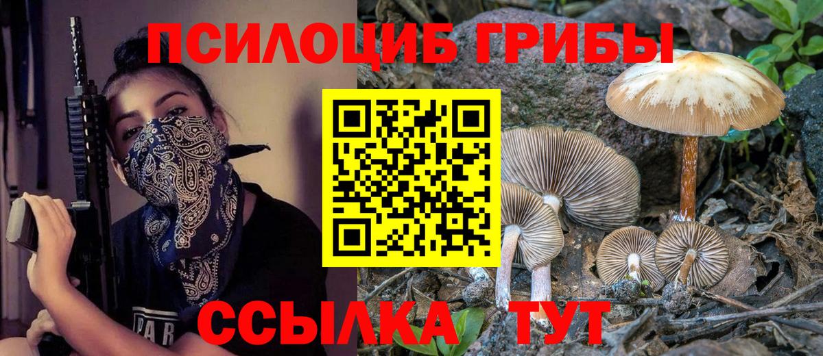 купить  сайты  Вход с VPN  Псилоцибиновые грибы Psilocybe  Нефтекумск  Псилоцибиновые грибы мухоморы 