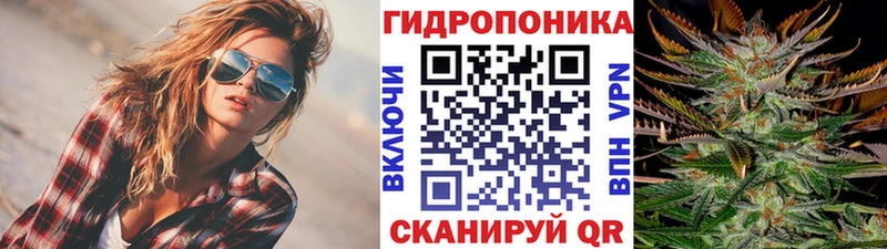 Бошки Шишки семена  закладки  Нефтекумск 